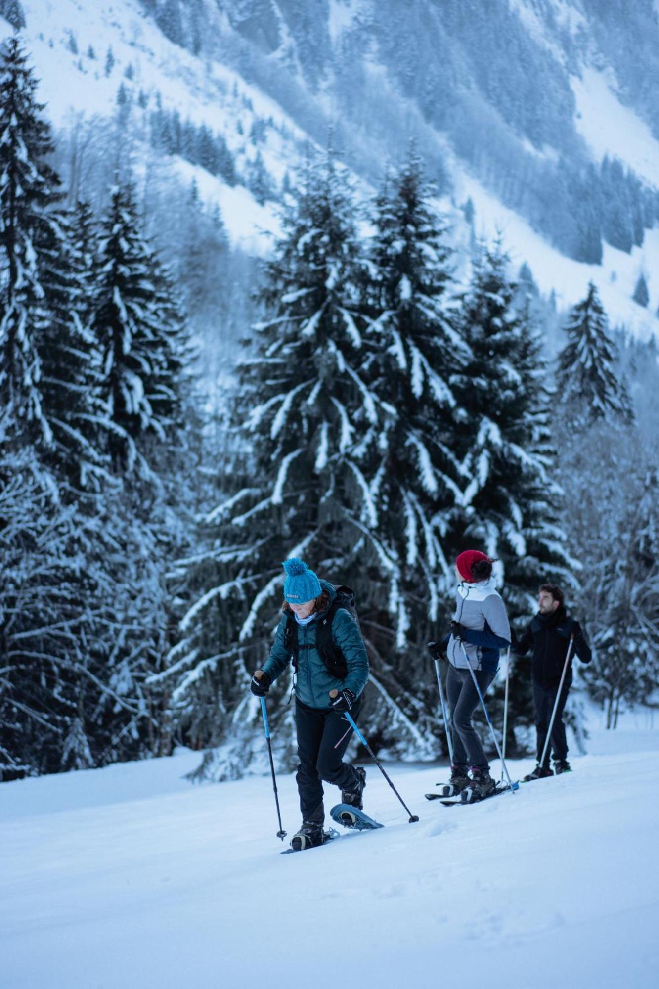 Chalet 1864 Le Grand-Bornand Eksteriør bilde