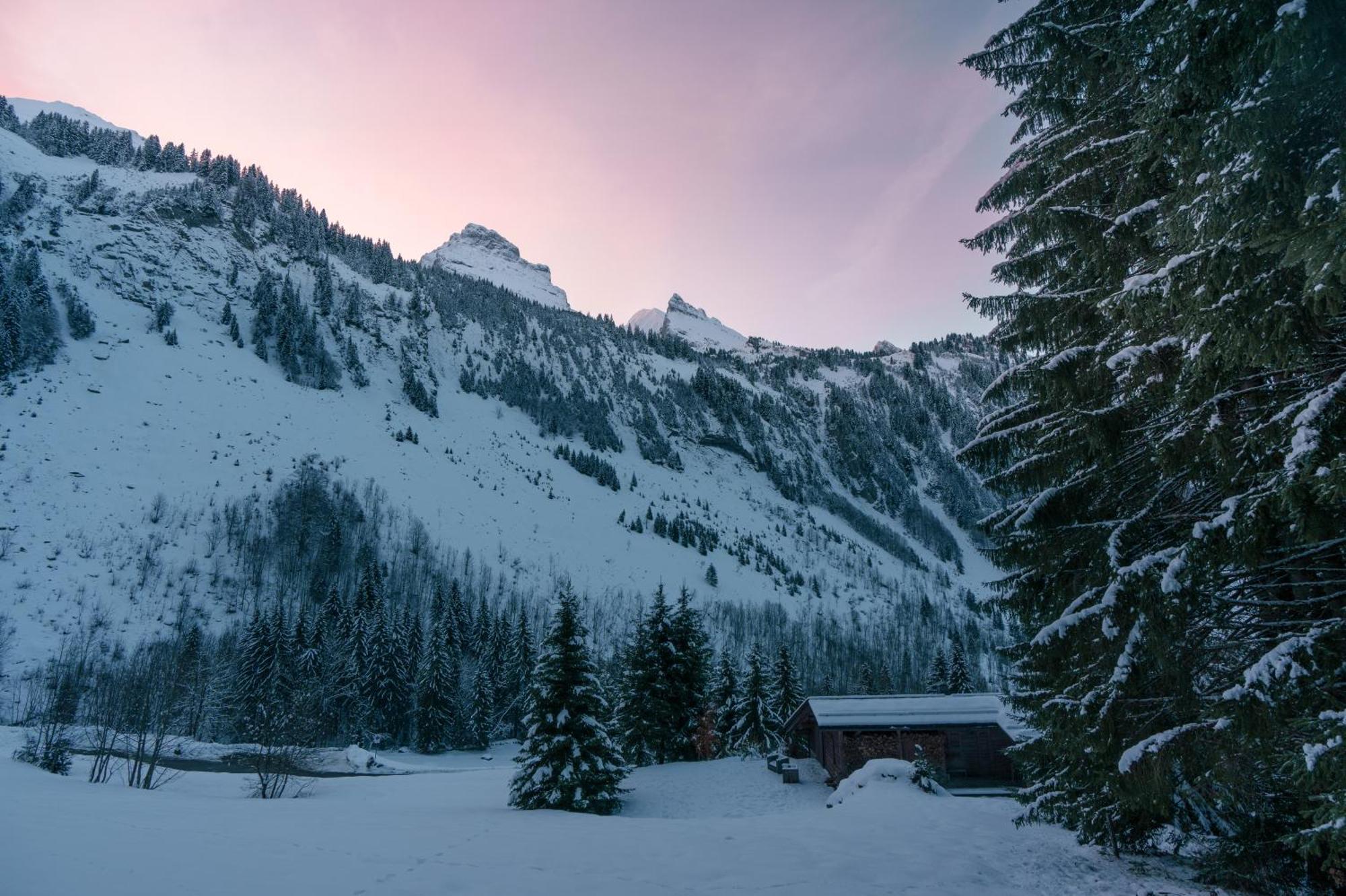 Chalet 1864 Le Grand-Bornand Eksteriør bilde